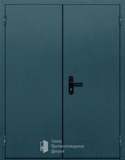 Фото двери «Двупольная глухая №37» в Орехово-Зуево
