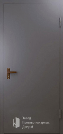 Фото двери «Техническая дверь №1 однопольная» в Орехово-Зуево