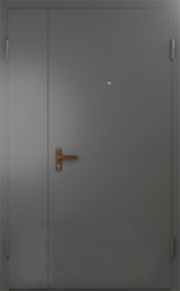 Фото двери «Техническая дверь №6 полуторная» в Орехово-Зуево